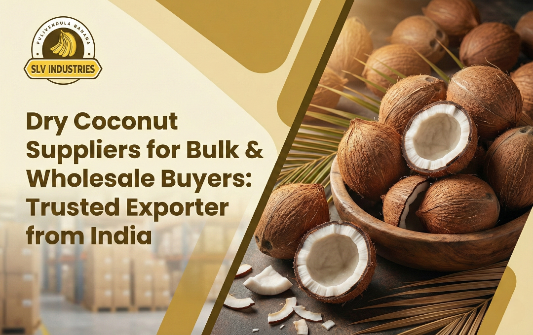 Dry Coconut Suppliers for Bulk & Wholesale Buyers: Trusted Exporter from India