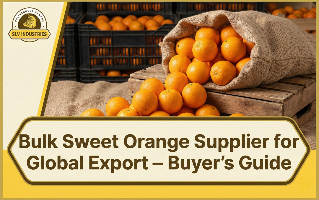 Bulk Sweet Orange Supplier for Global Export – Buyer’s Guide