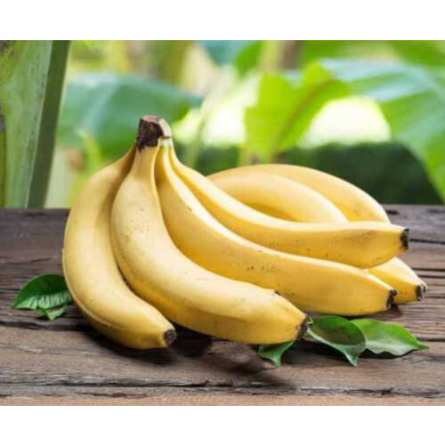 G9 Banana Exporter & Bulk Supplier