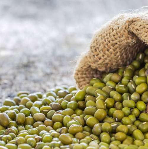 Mung Beans Exporter & Bulk Supplier